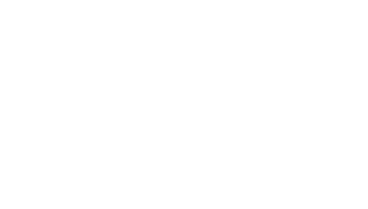 Ideas Fest